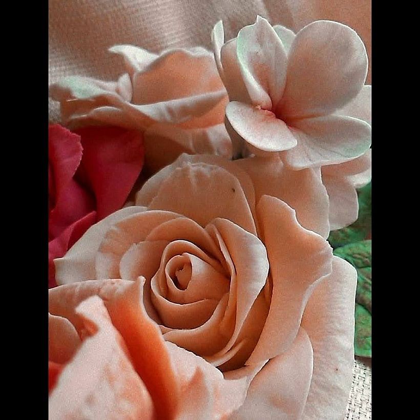 Mi Proyecto del curso: Flores de azúcar para cake design 3