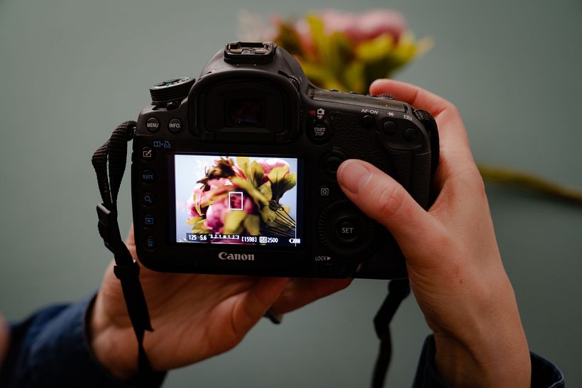 Each brand of camera has different names for their autofocus settings, however, they are always easy to identify.