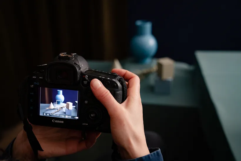 Focus, in photography, is the sharpest area of the image.