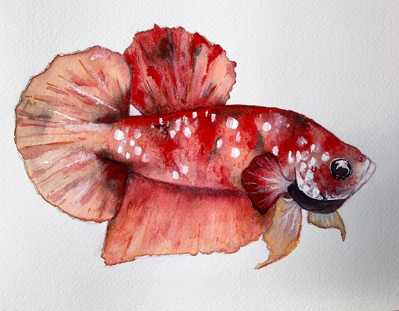 My project in Experimental Watercolor Techniques for Beginners course 2