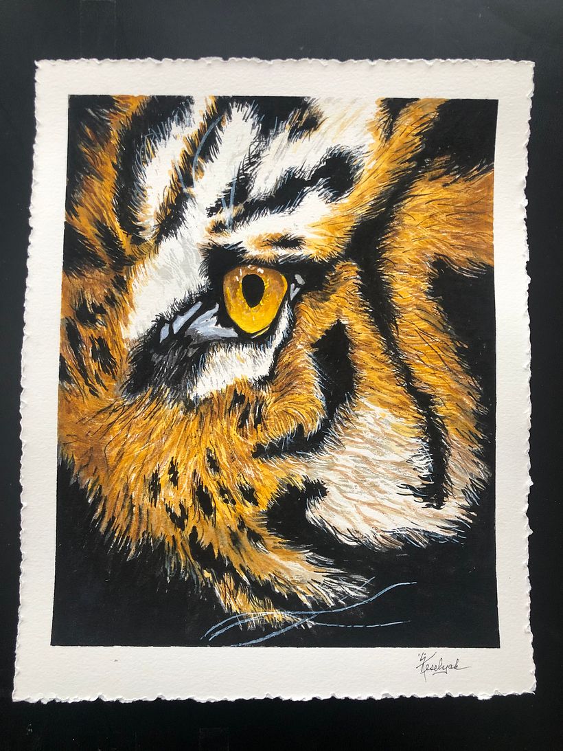 Animal portrait #2                     image credited to Ralph Mayhew