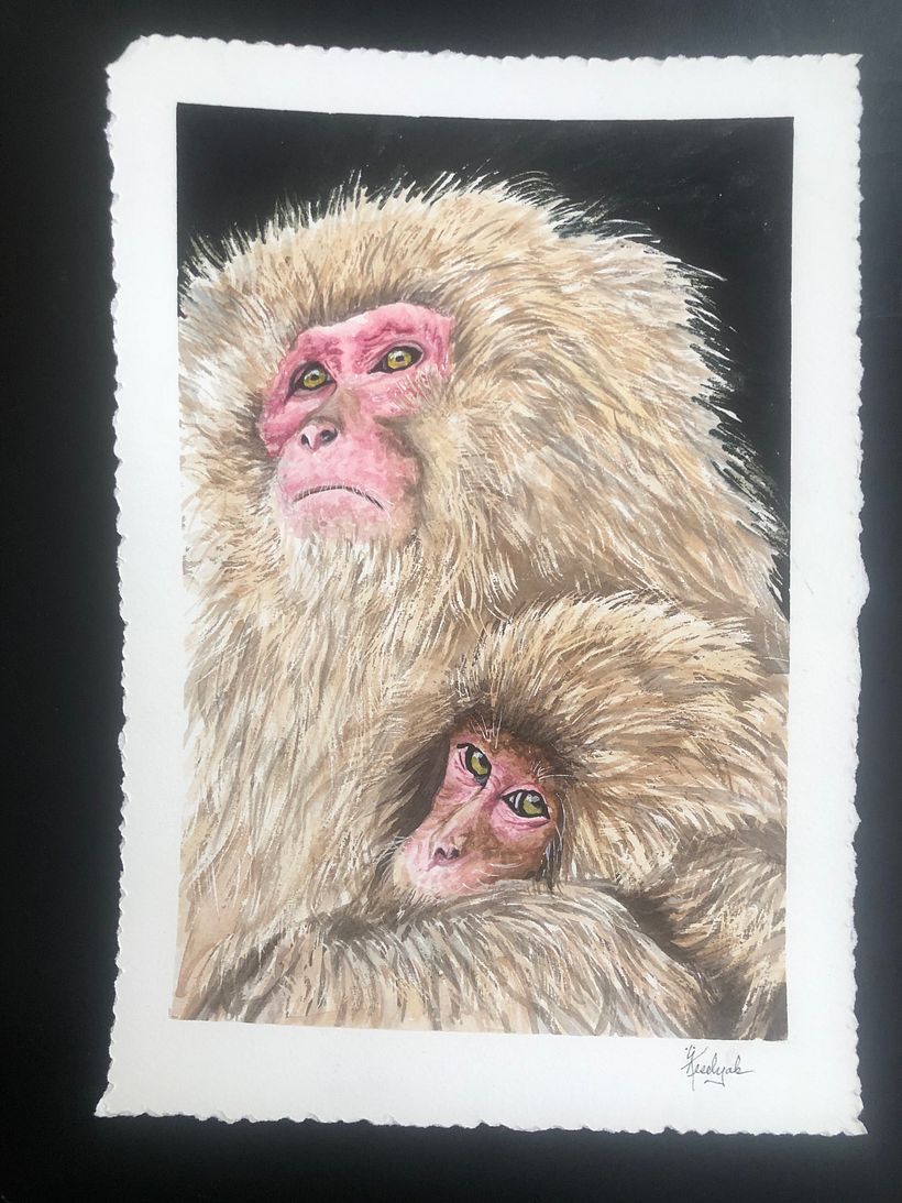 Animal portrait #3                   image credited to Birger Strahl