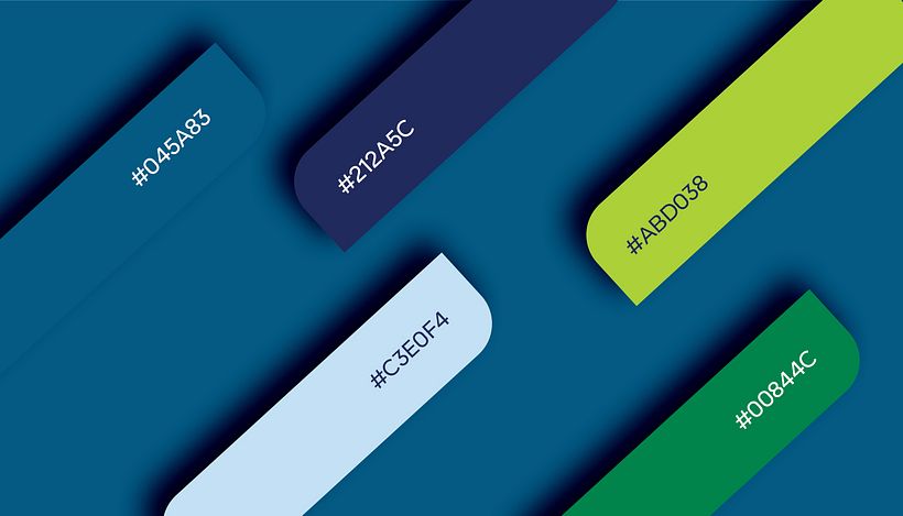 Wiselane Visual Identity Design 8