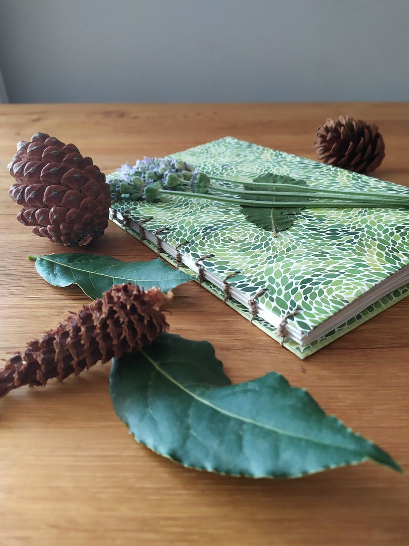 Cuaderno botánico I  2