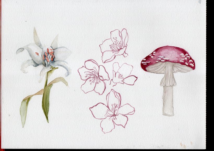 Mi Proyecto del curso: Dibujo y composición naturalista en acuarela 4