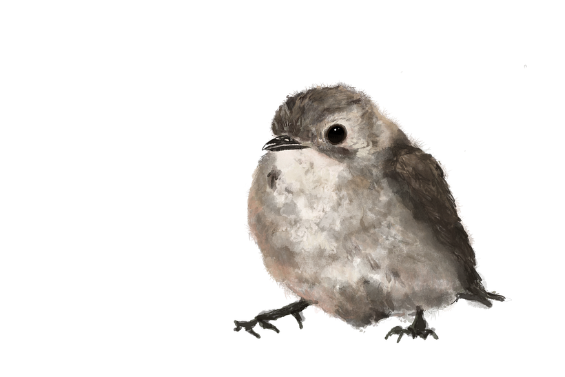 Mi Proyecto del curso: Procreate: técnicas de ilustración creativa 2
