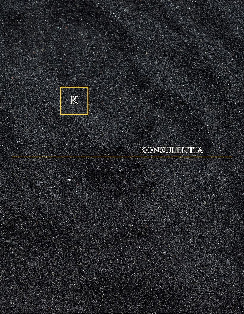 KONSULENTIA 2
