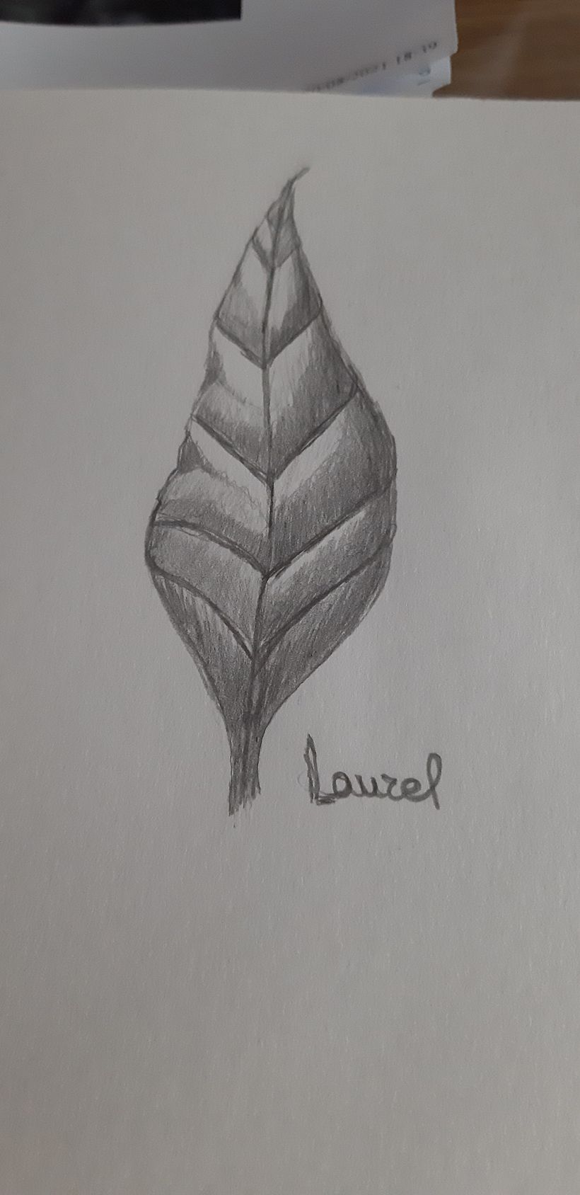 Mi Proyecto del curso: Cuaderno botánico en acuarela 2