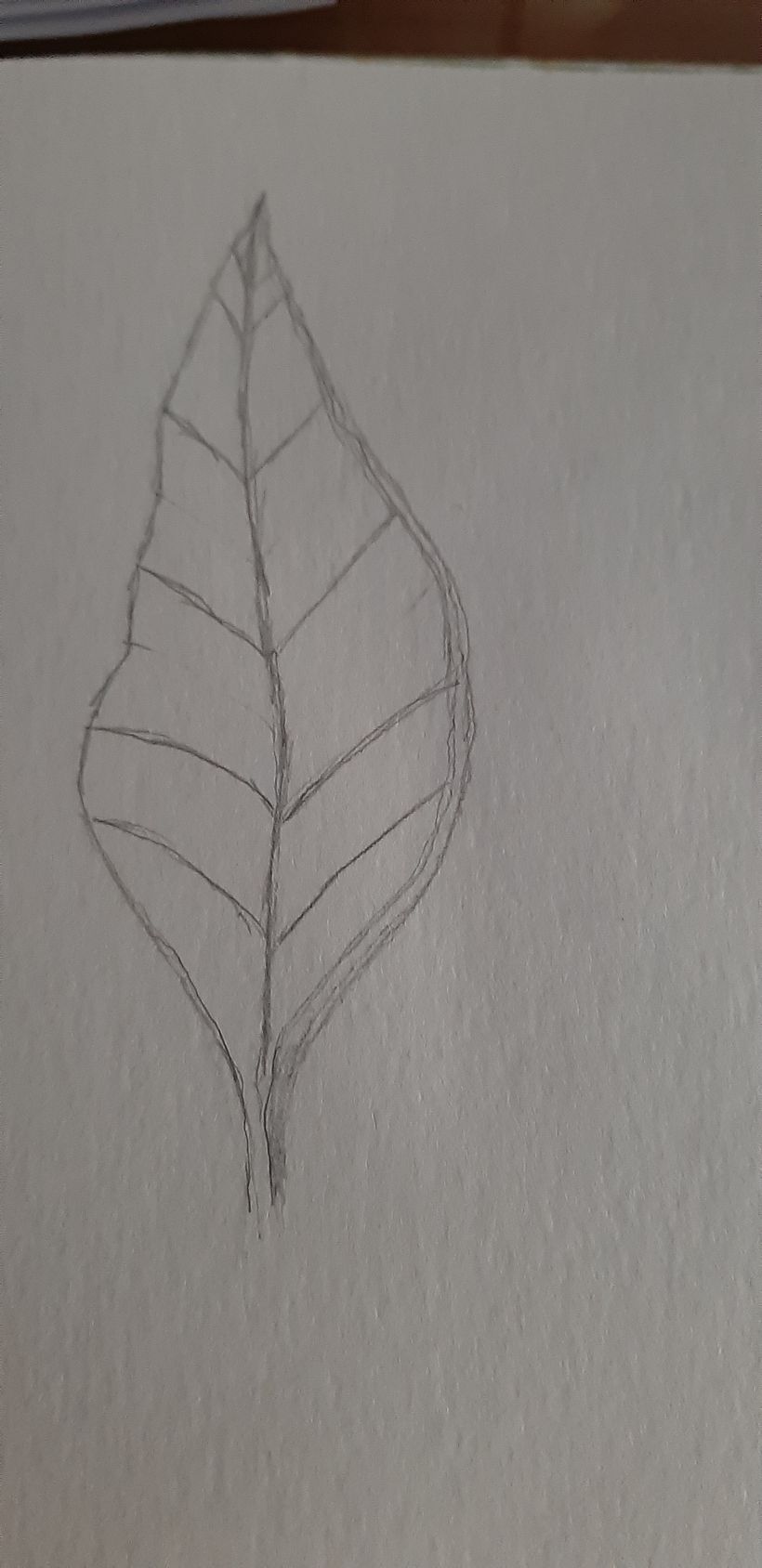 Mi Proyecto del curso: Cuaderno botánico en acuarela 3