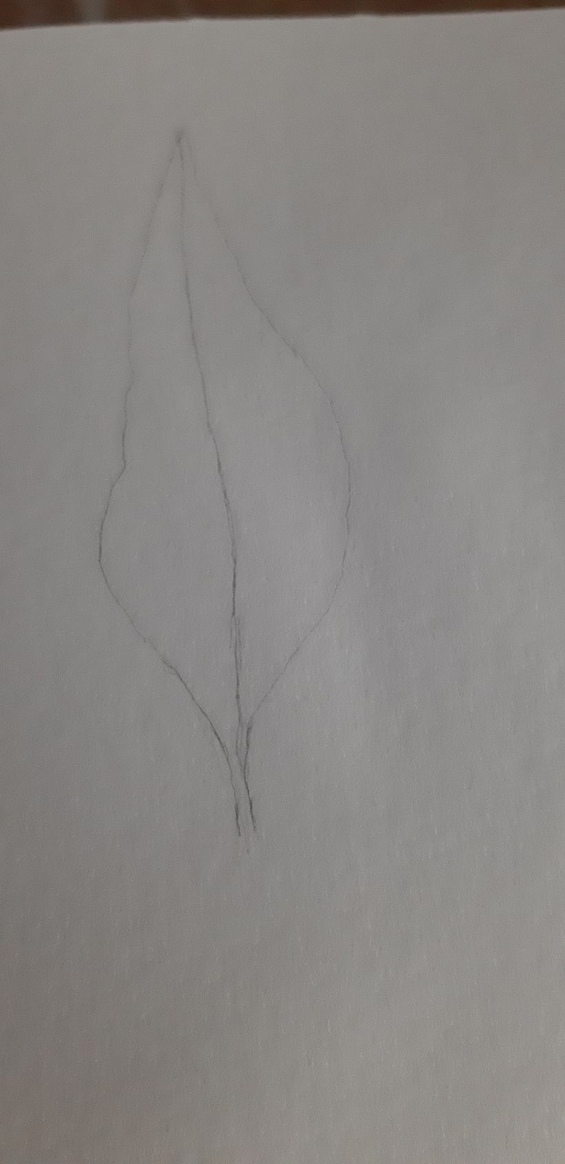 Mi Proyecto del curso: Cuaderno botánico en acuarela 4