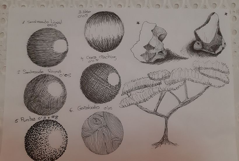 Mi Proyecto del curso: Cuaderno botánico en acuarela 6