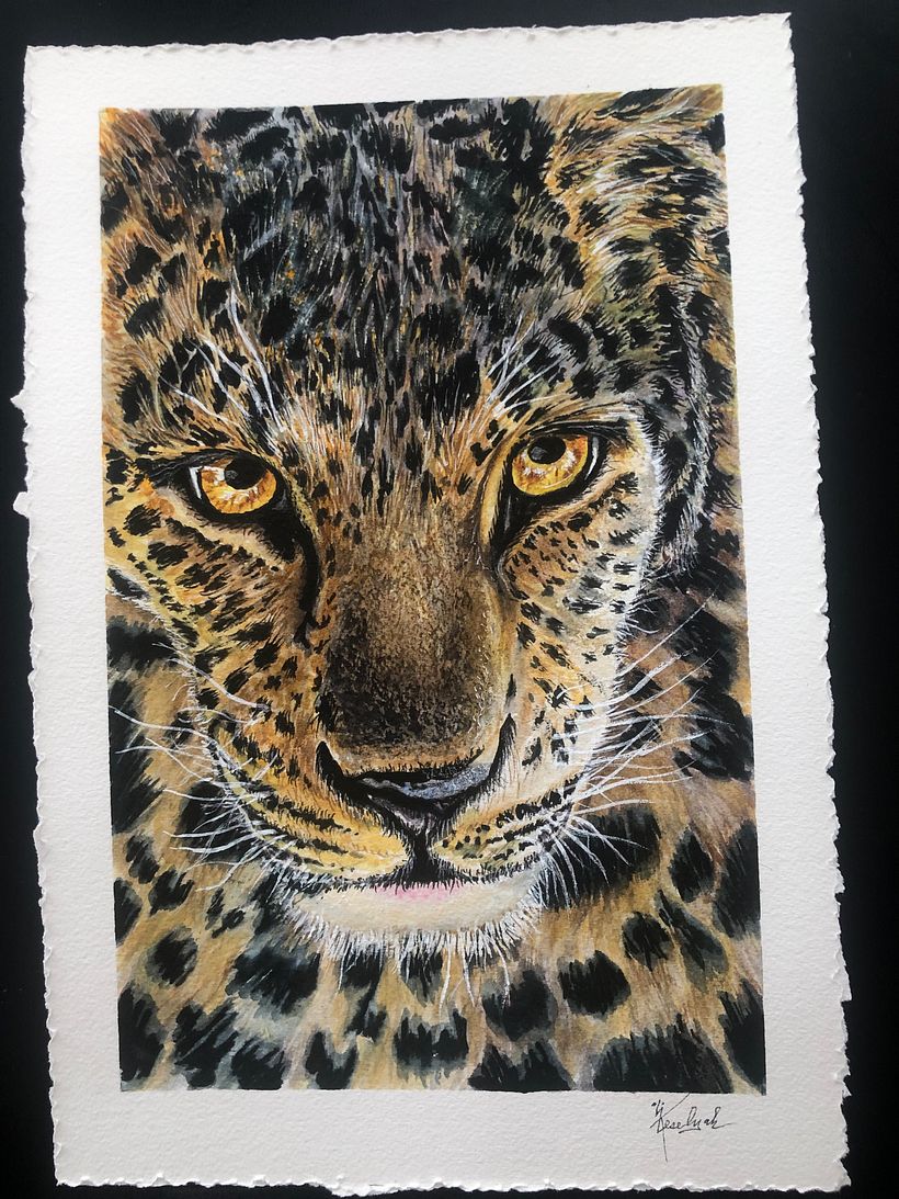 Animal portrait #5       image credited to Dustin Humes