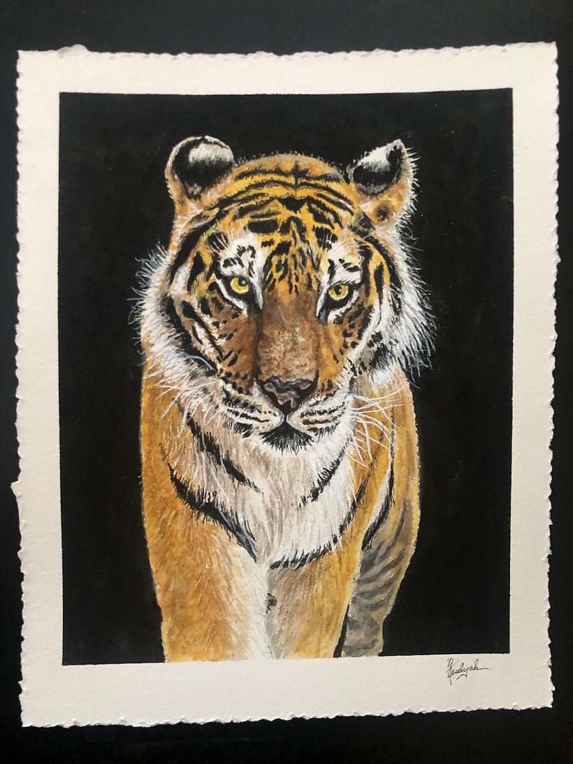 Animal portrait #6       image credited to Mike Marrah