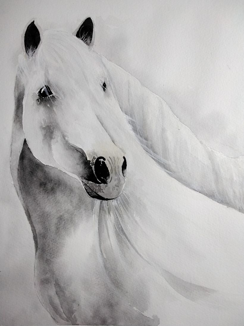 My project in Expressive Animal Portraits in Watercolor course 5