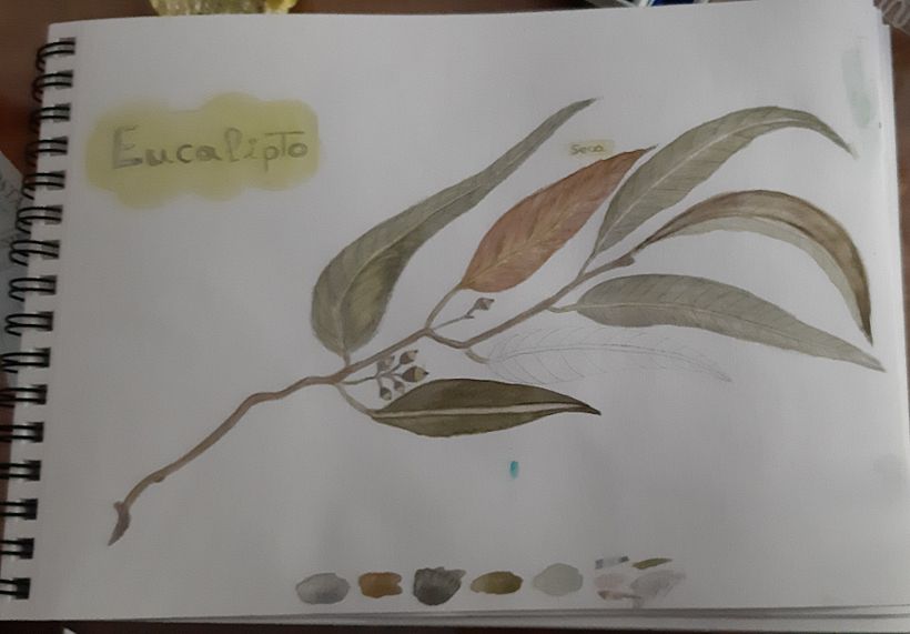 Mi Proyecto del curso: Cuaderno botánico en acuarela 9