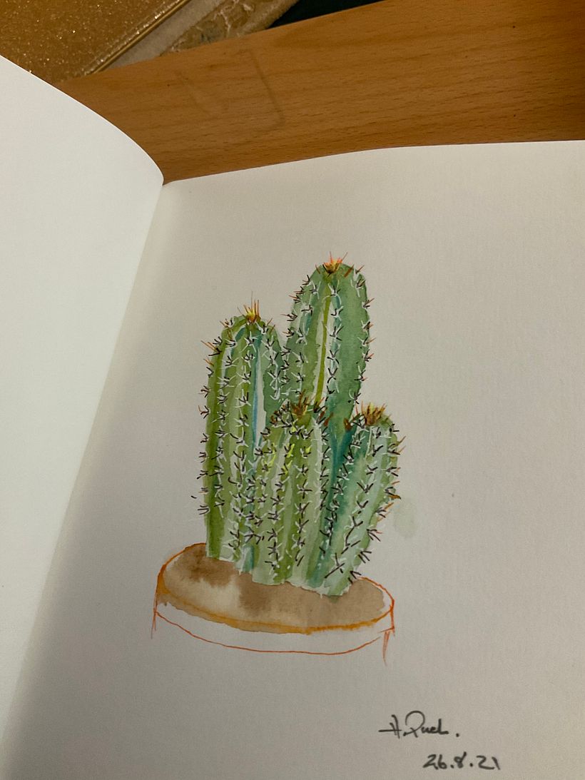 My project in Botanical Sketchbooking: A Meditative Approach course 5