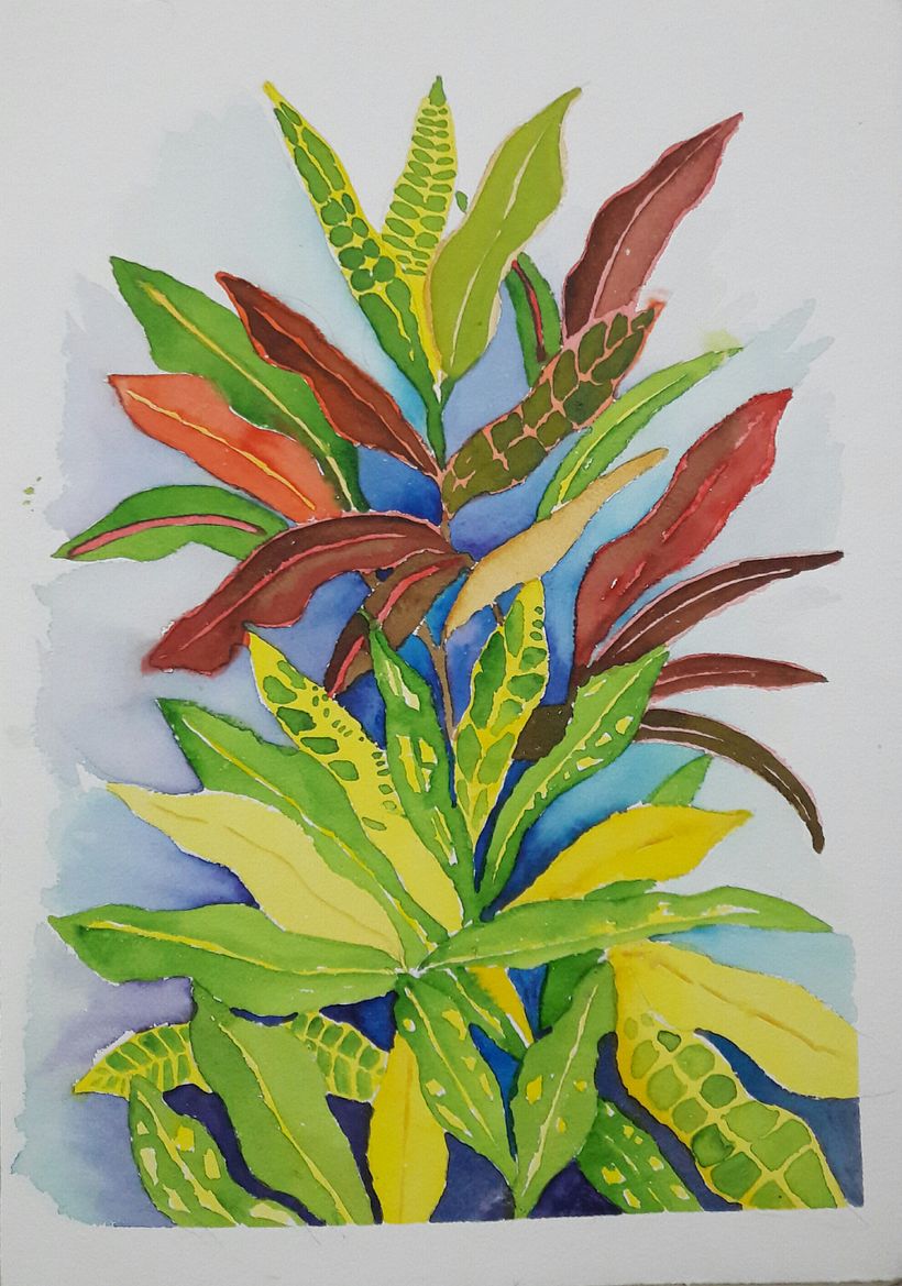Crotons