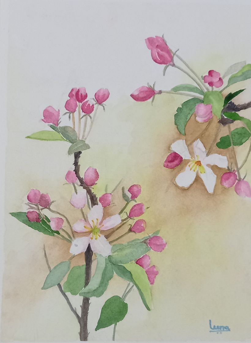 My project in Pictorial Sketchbook with Gouache course 10