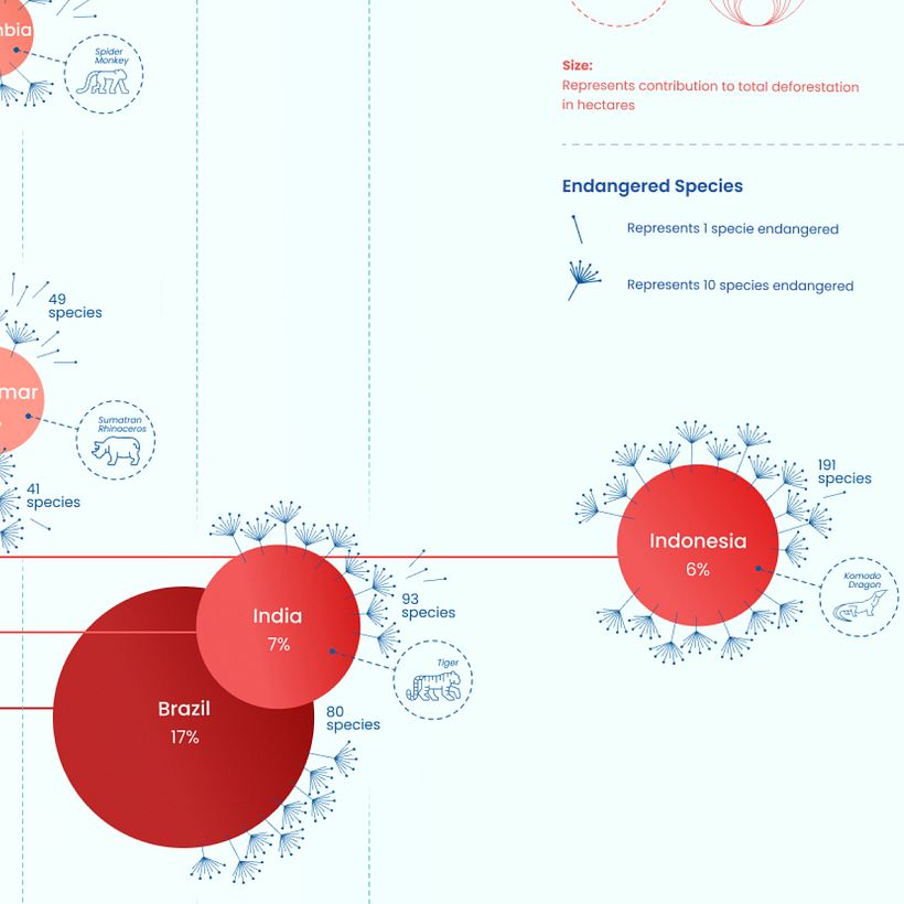 My project in Data Visualization and Information Design: The Root Of The Problem - Diseño de la información