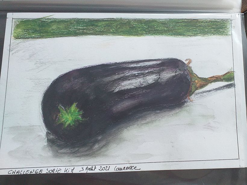 aubergines aux crayons aquarelables je n ai pas l ahbitude d utiliser cette technique