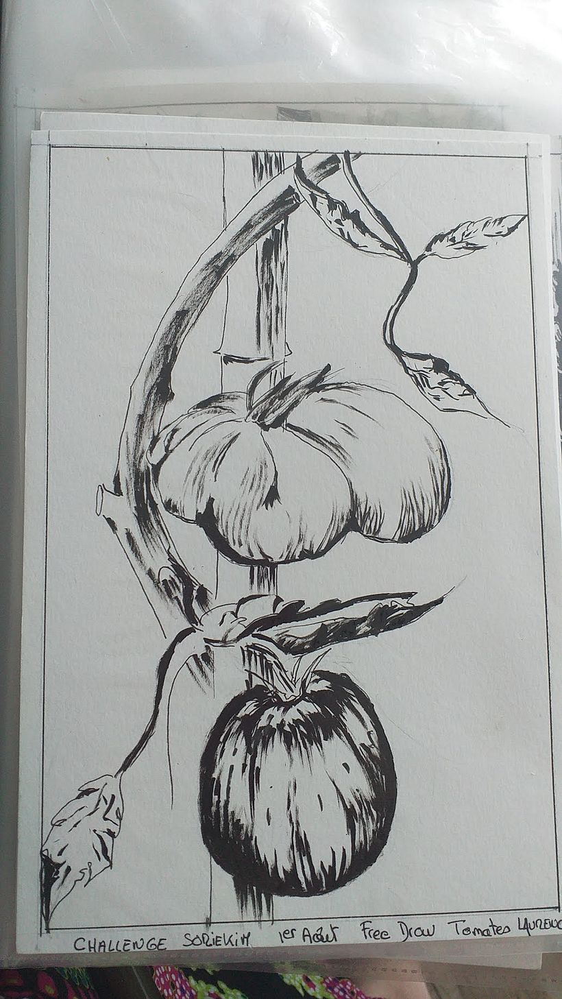 dessin libre tomates a l encre de chine