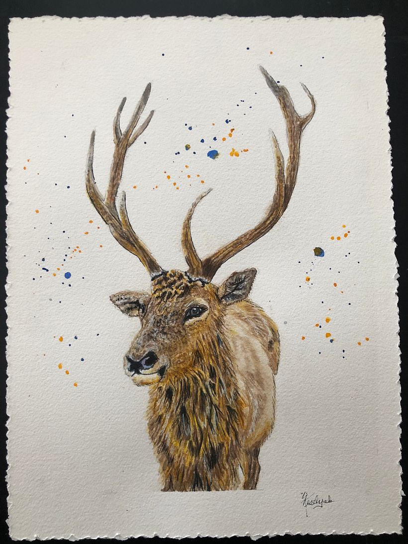 animal portrait #8    image credited to Andreas Dress