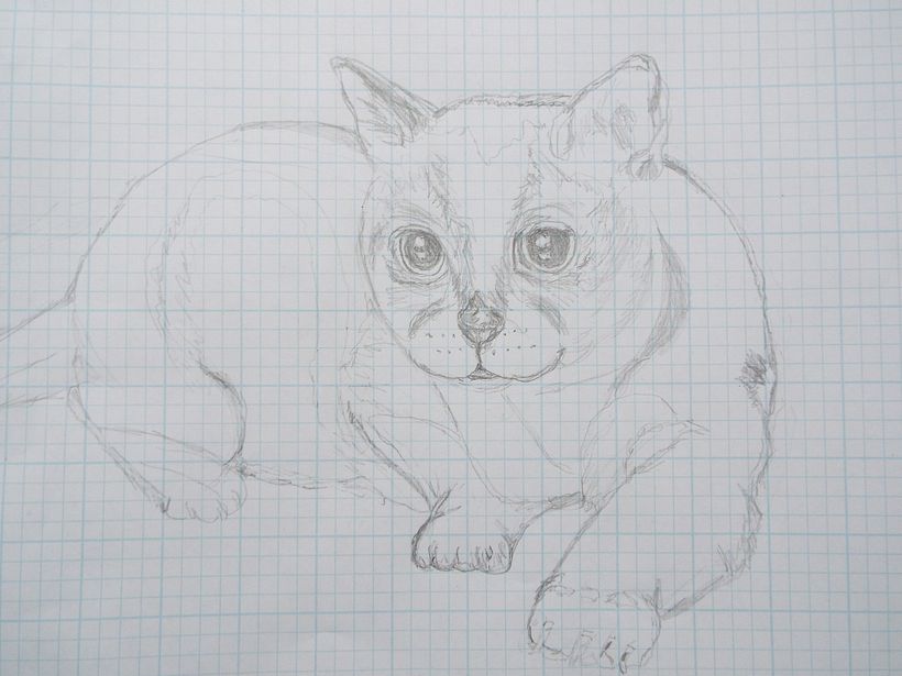 Sable Burmese cat My project in Expressive Animal Portraits in