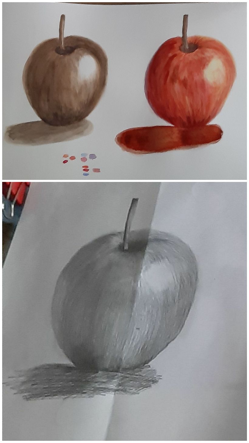 Mi Proyecto del curso: Cuaderno botánico en acuarela 11