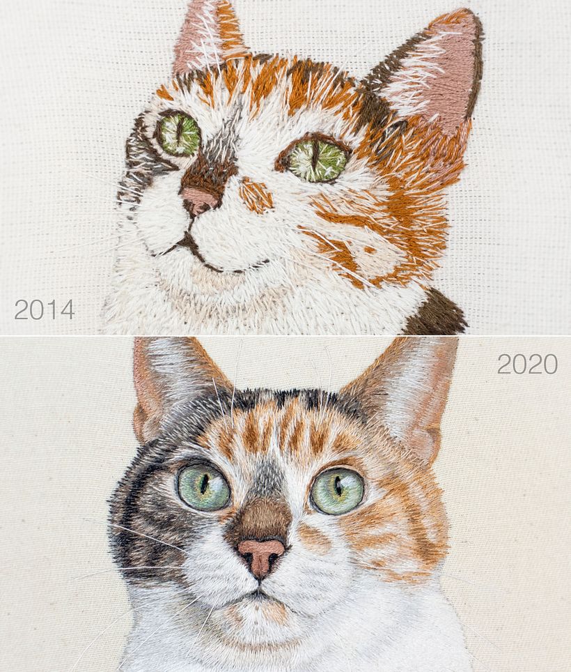 2014 vs. 2020