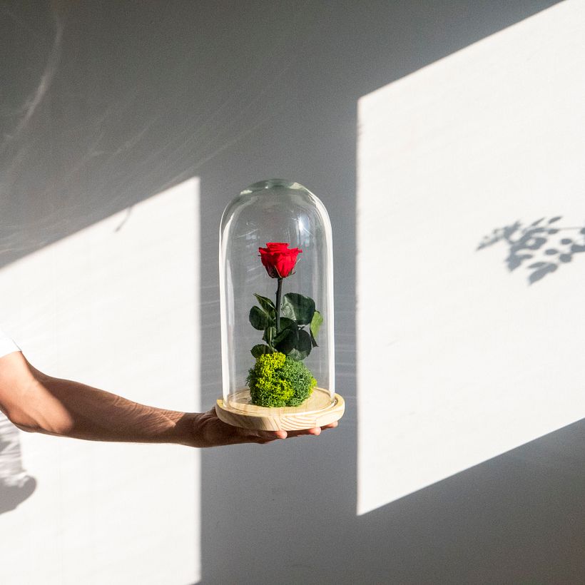 This Kokedama was created by Omotesandō Plants studio.
