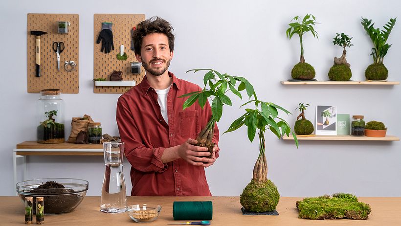 Joan Català is an expert in the art of kokedama.