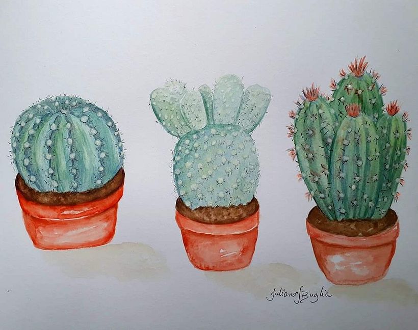 3 Cacti illustration 