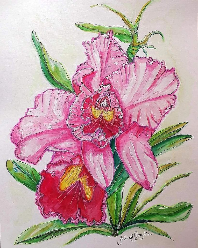 Pink orchid from my mother's garden 