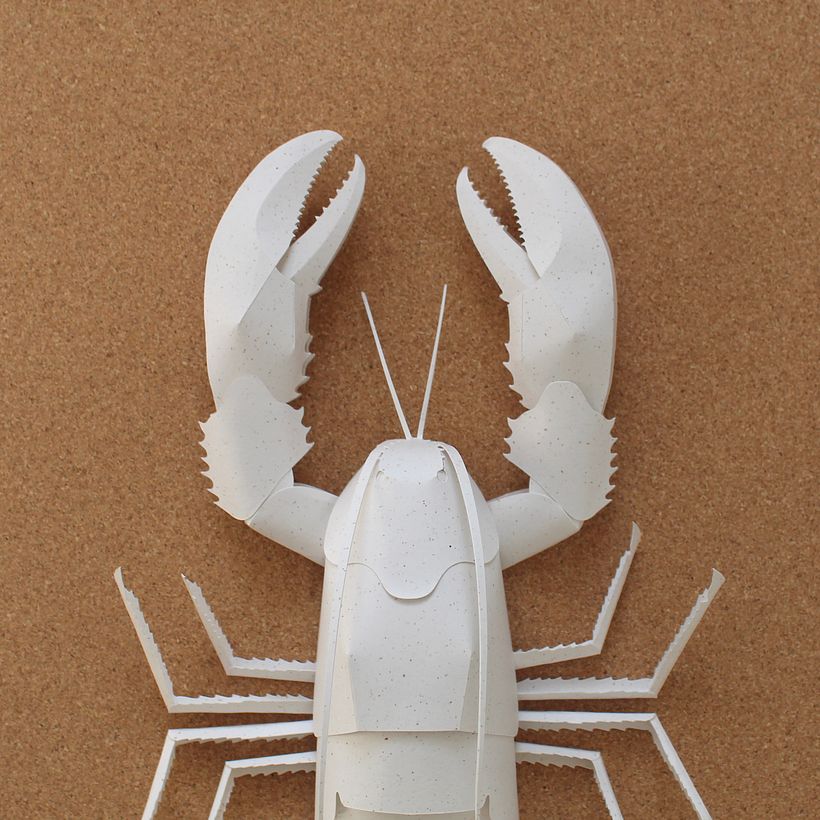 Paper Animals 1