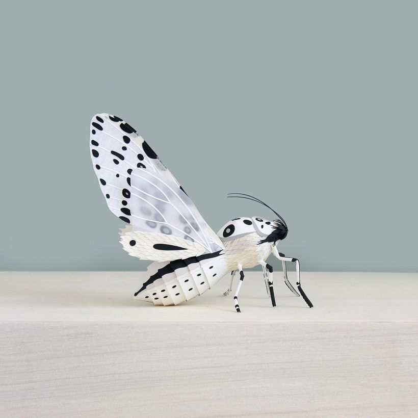 Paper Animals 2