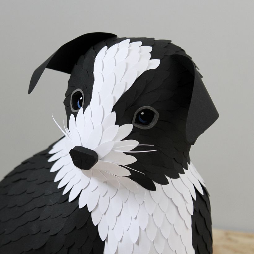 Paper Animals 4