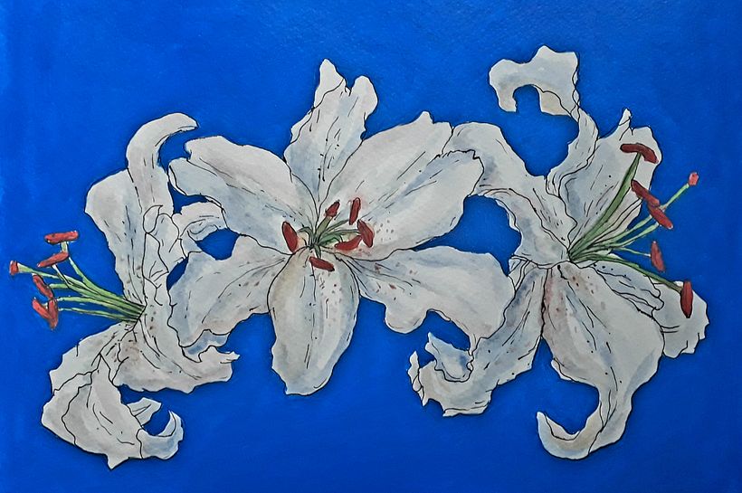 Final project Lily 