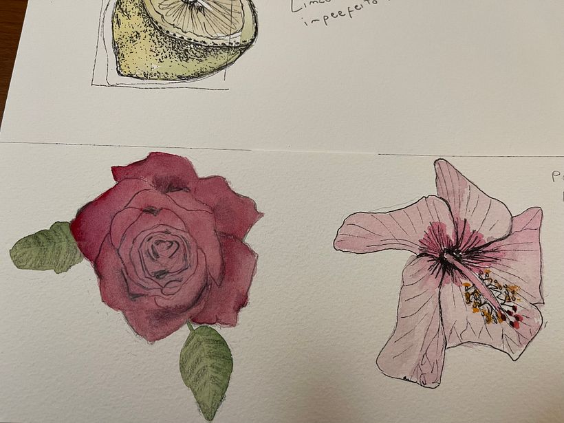 Meu projeto do curso: Caderno botânico em aquarela 1