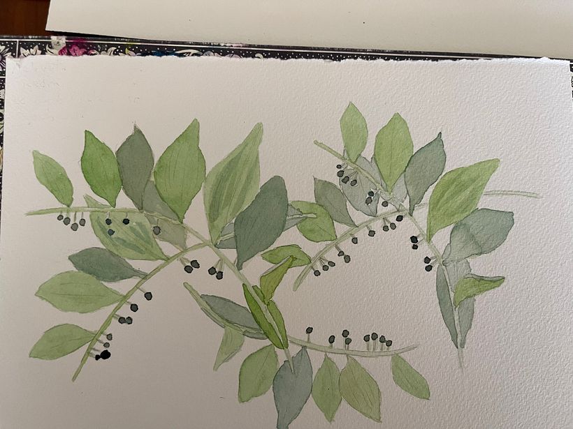 Meu projeto do curso: Caderno botânico em aquarela 3