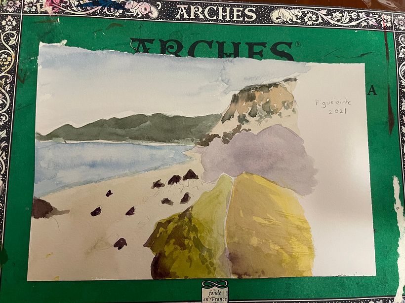 Meu projeto do curso: Caderno botânico em aquarela 4
