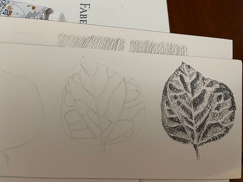 Meu projeto do curso: Caderno botânico em aquarela 5