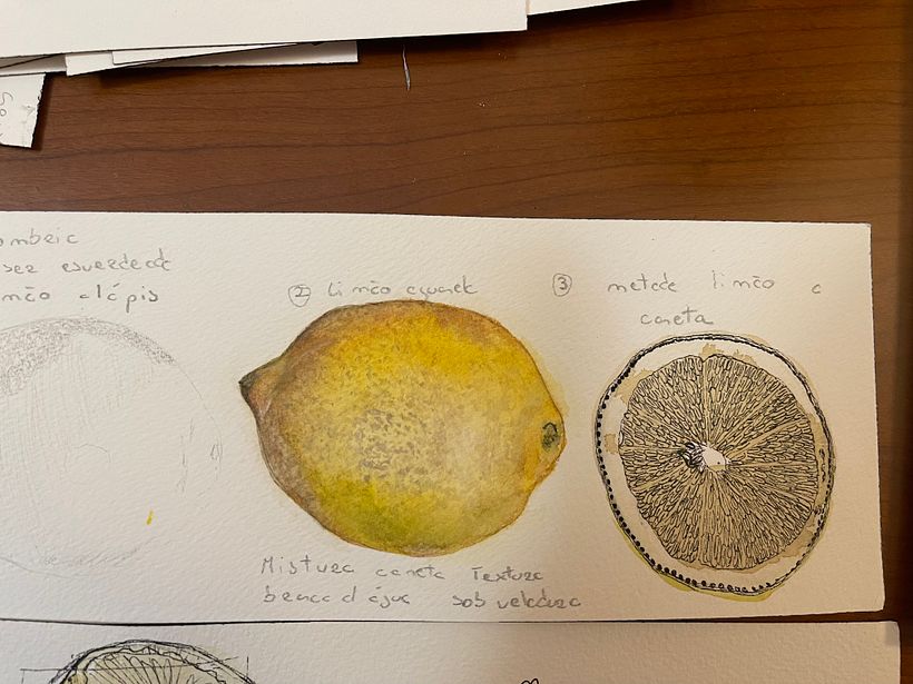 Meu projeto do curso: Caderno botânico em aquarela 6