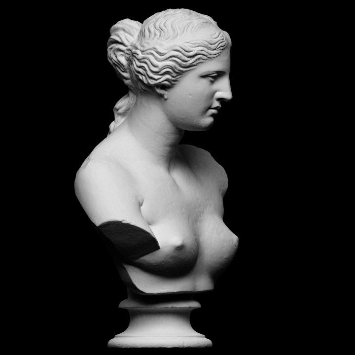 The bust of the iconic Venus de Milo.