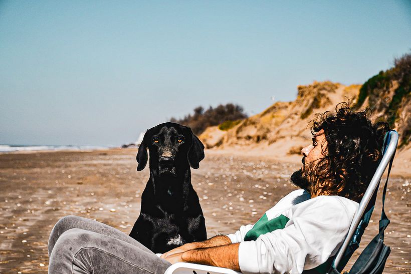 @reveladogs fotografía Animal 4