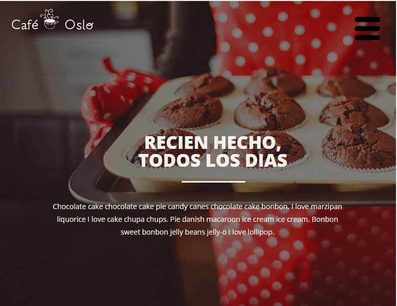 Mi Proyecto del curso: Introducción al Desarrollo Web Responsive con HTML y CSS 6