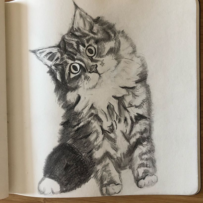 First cat drawing - realistic but quick (part of a course)