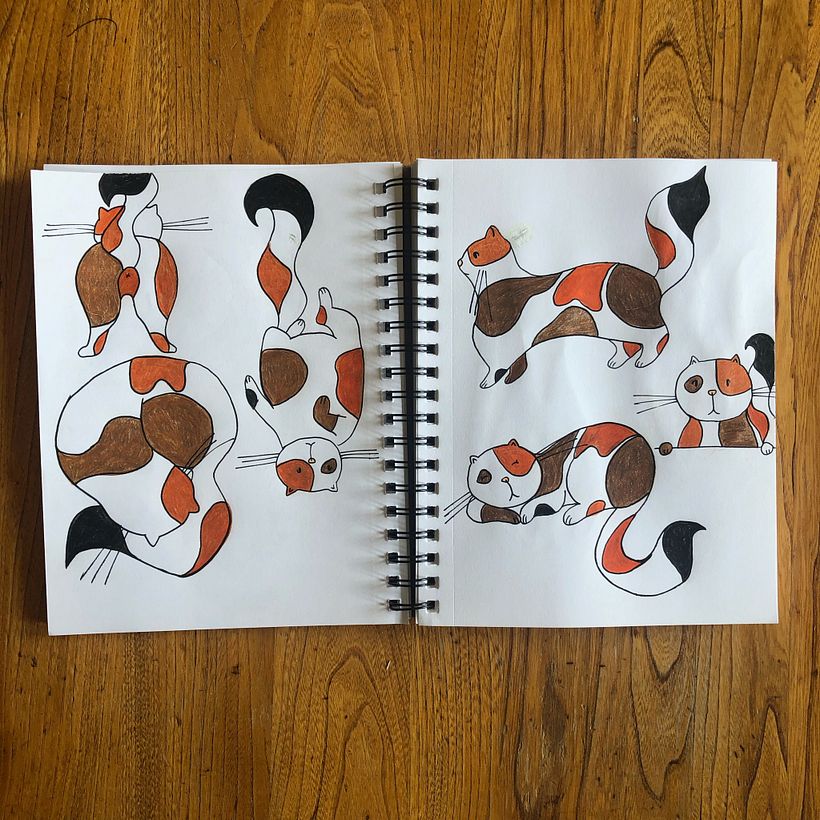 Cat 17 - further explorations