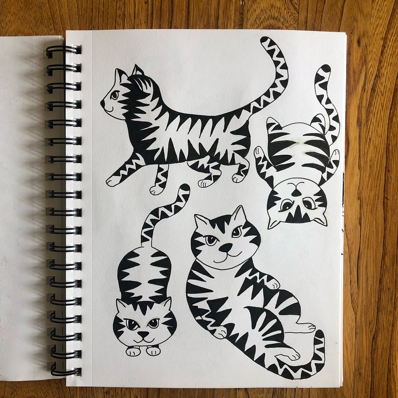 Cat 16 - further exploration 