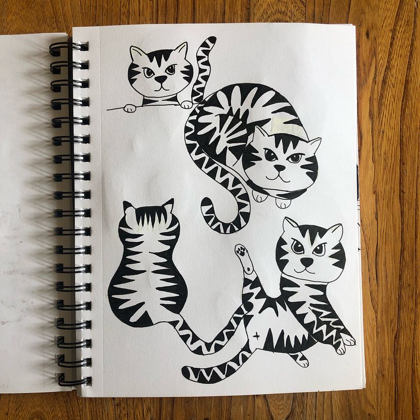 Cat 16 - further exploration 