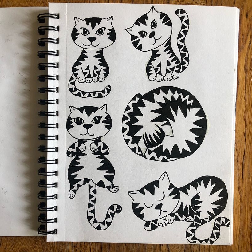 Cat 16 - further exploration 